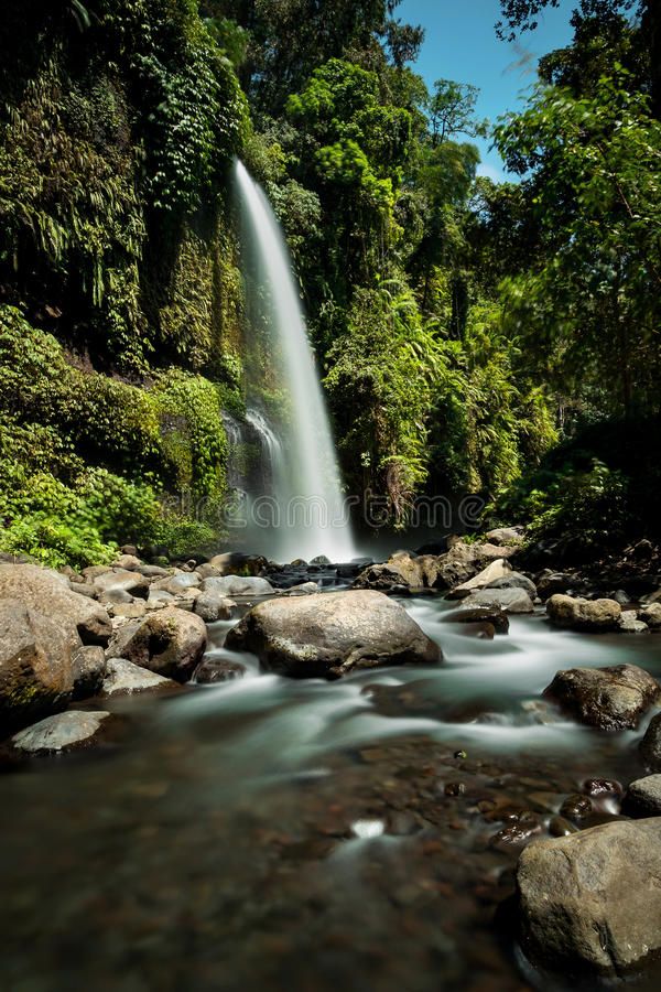 Tangga hutan menuju air terjun