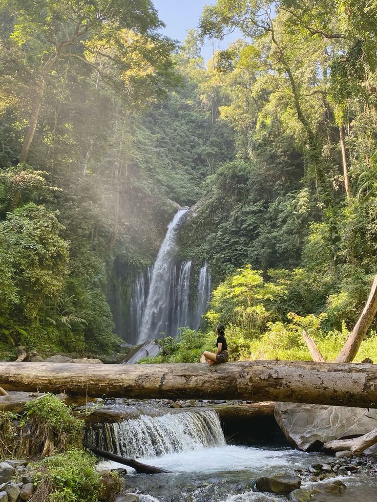 Hutan Senaru